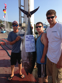 Bluefin Tuna