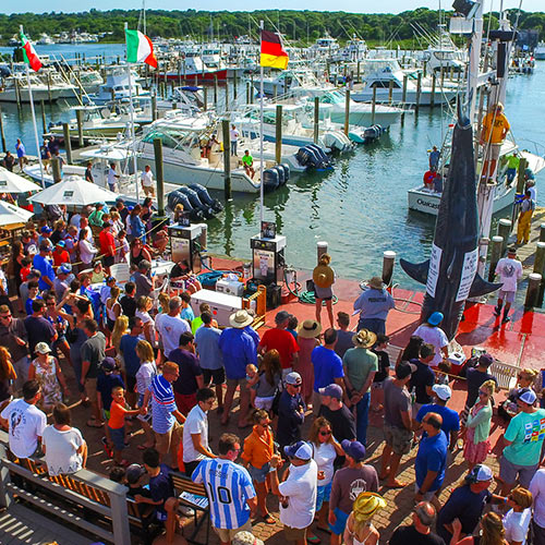 Annual Shark Tournament Fishing Tournaments Montauk Long Island