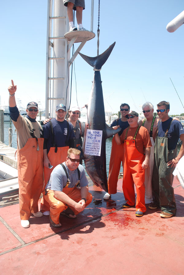 star island yacht club shark tournament